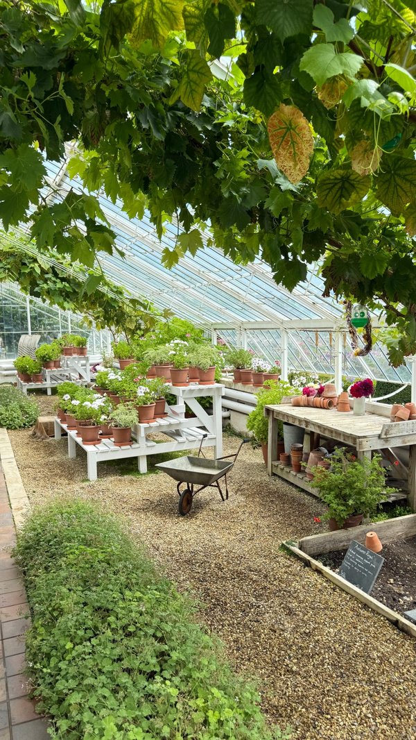 Pépinière à livarot : un jardin d'idées et de créations florales